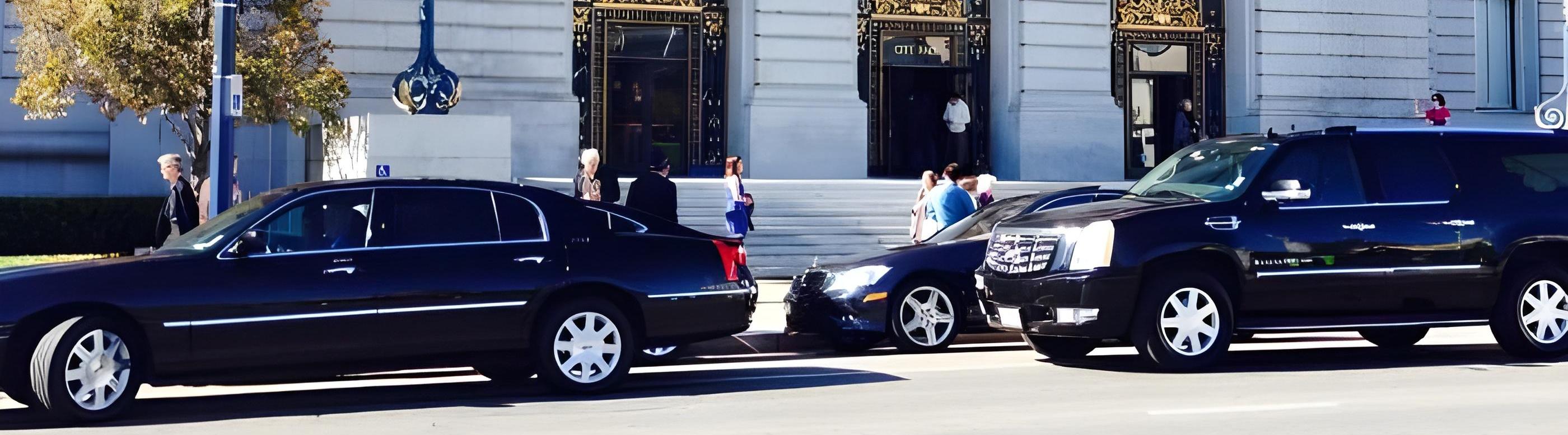 Elite Limousine Inc.