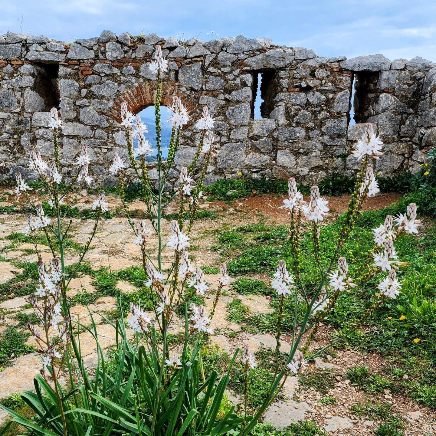 Greece Invests